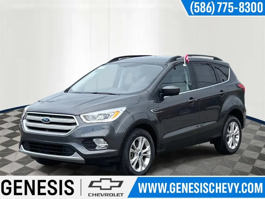 2019 Ford Escape SEL photo 1