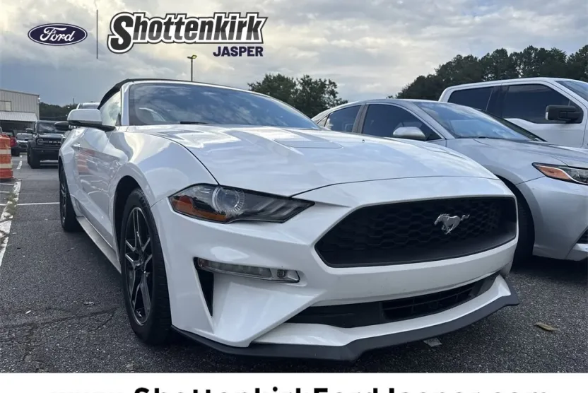 2020 Ford Mustang EcoBoost Premium photo 1