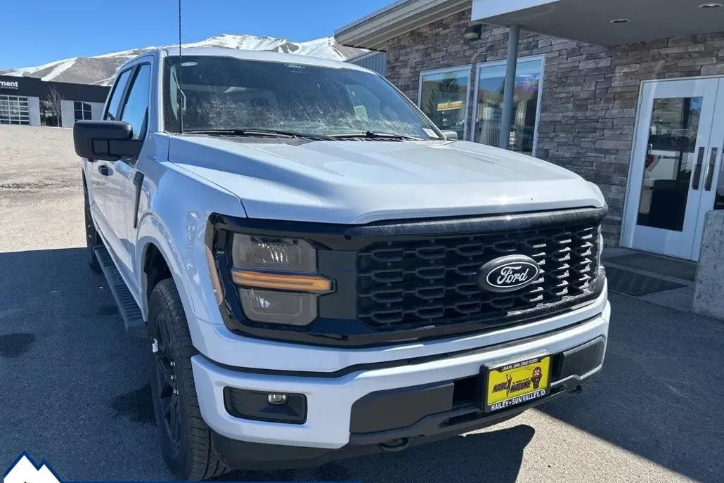 2025 Ford F-150 STX photo 1