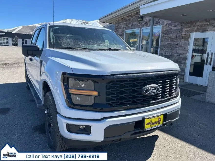 2025 Ford F-150 STX photo 1