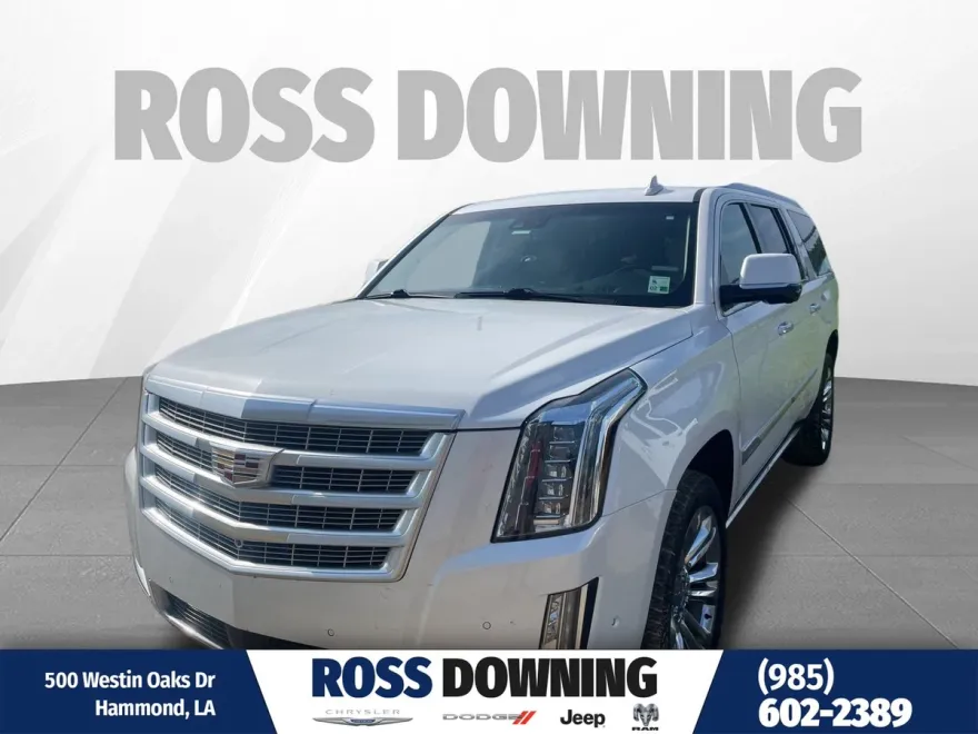 2019 Cadillac Escalade ESV Premium Luxury photo 1
