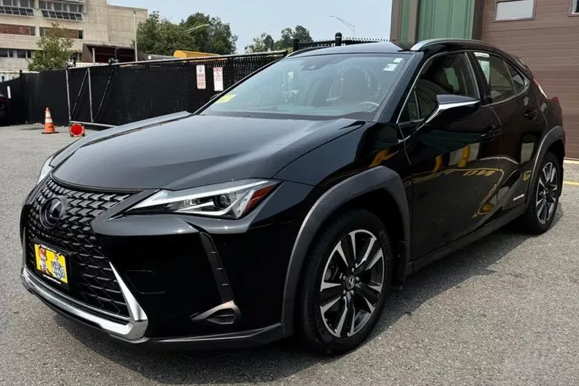 2020 Lexus UX 250h photo 1