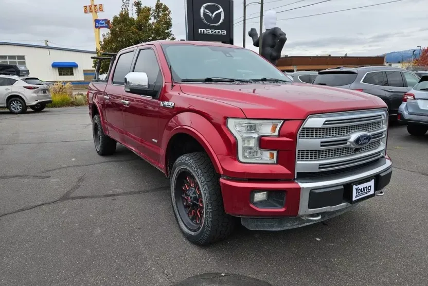 2015 Ford F-150 Platinum photo 1