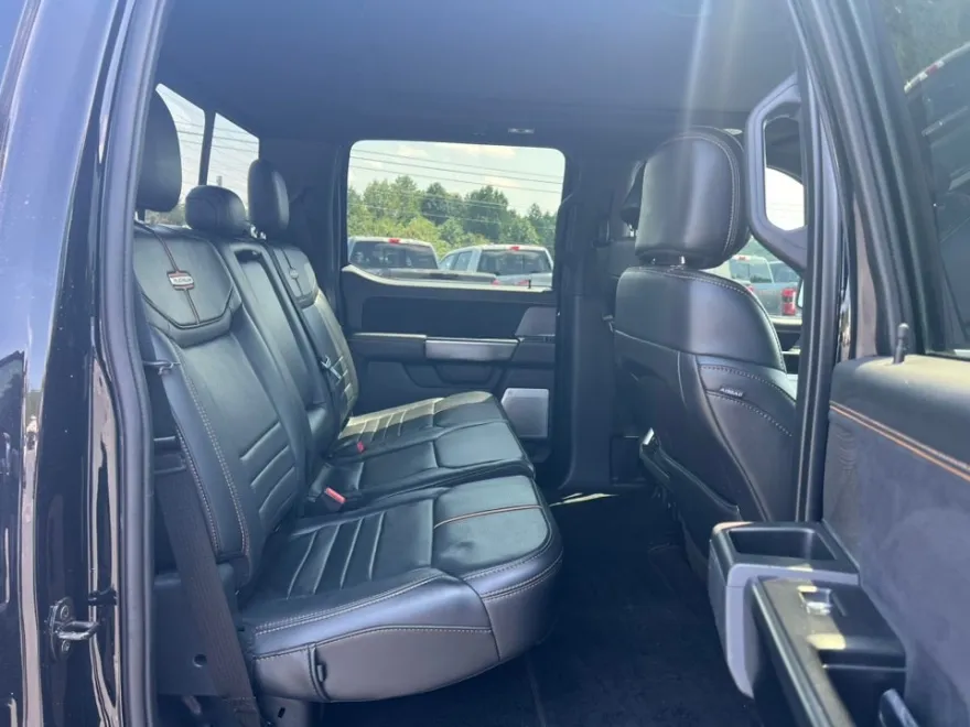 2021 Ford F-150 Platinum photo 15