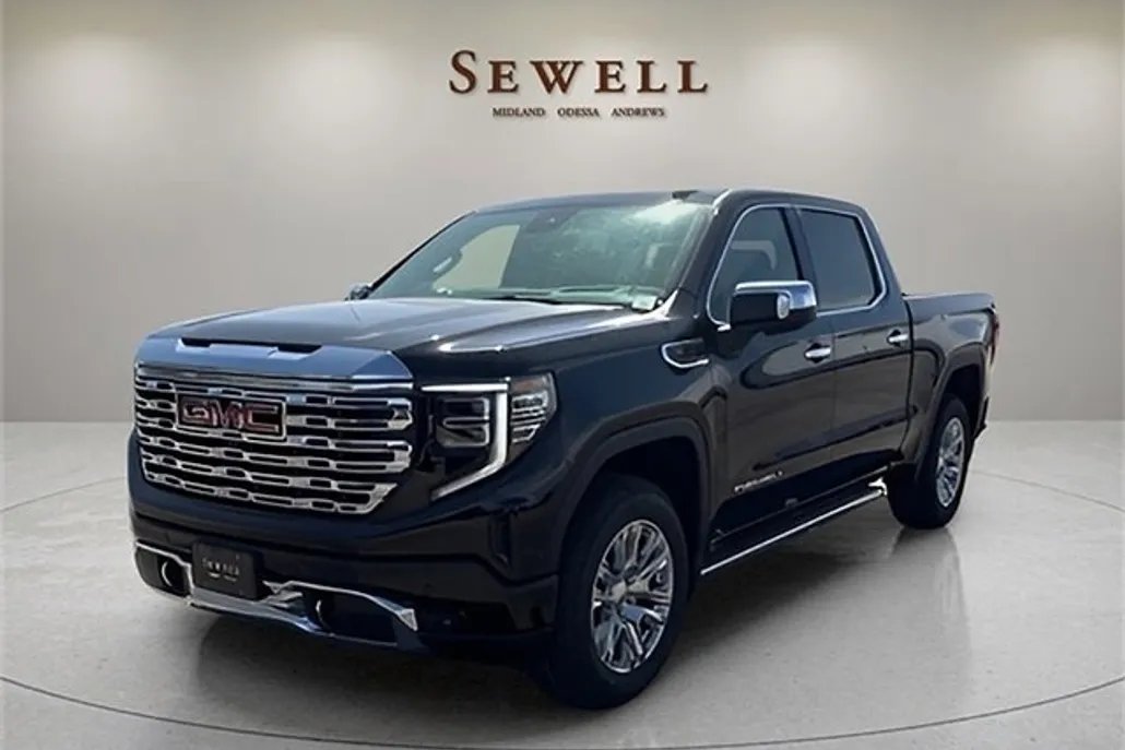2025 Gmc Sierra 1500 Denali photo 1