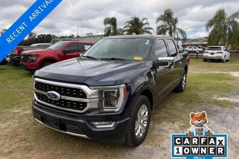 2022 Ford F-150 Platinum photo 1