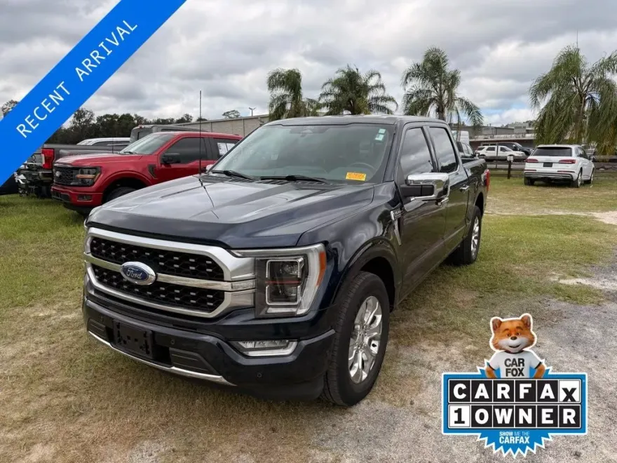 2022 Ford F-150 Platinum photo 1
