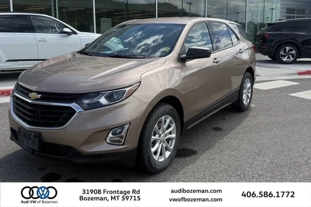 2019 Chevrolet Equinox LS photo 1