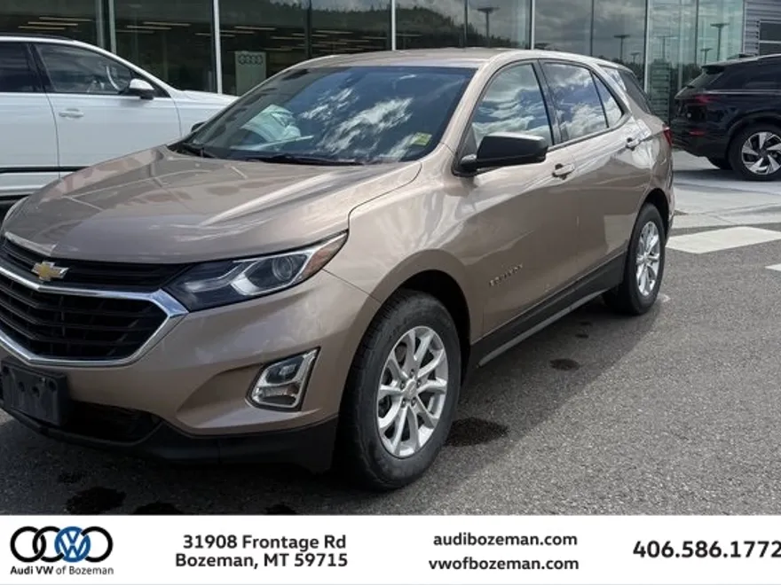 2019 Chevrolet Equinox LS photo 1