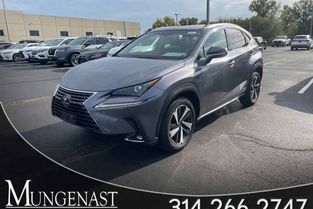 2019 Lexus NX 300h Luxury photo 1