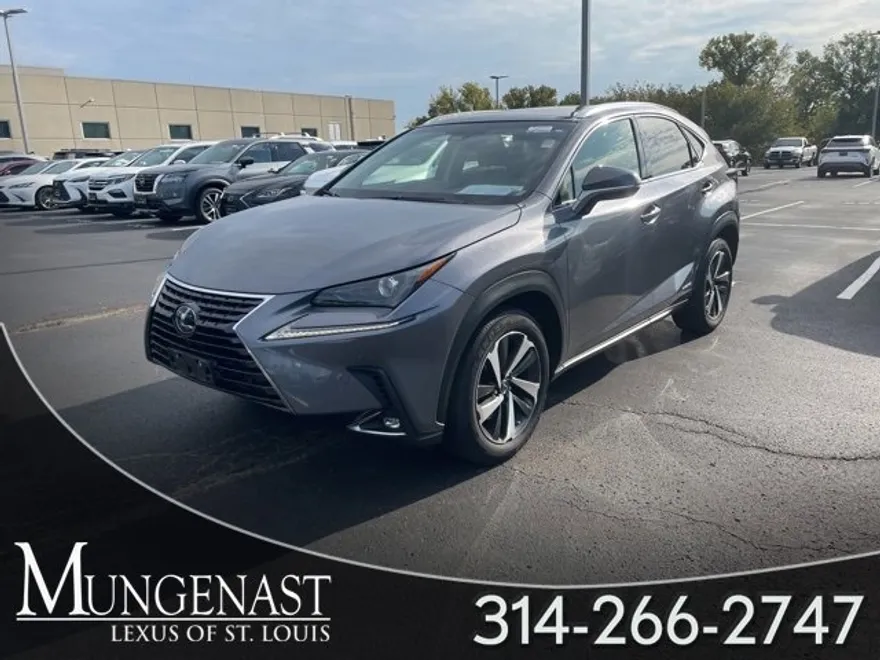 2019 Lexus NX 300h Luxury photo 1