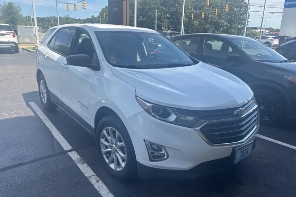 2019 Chevrolet Equinox LS photo 1