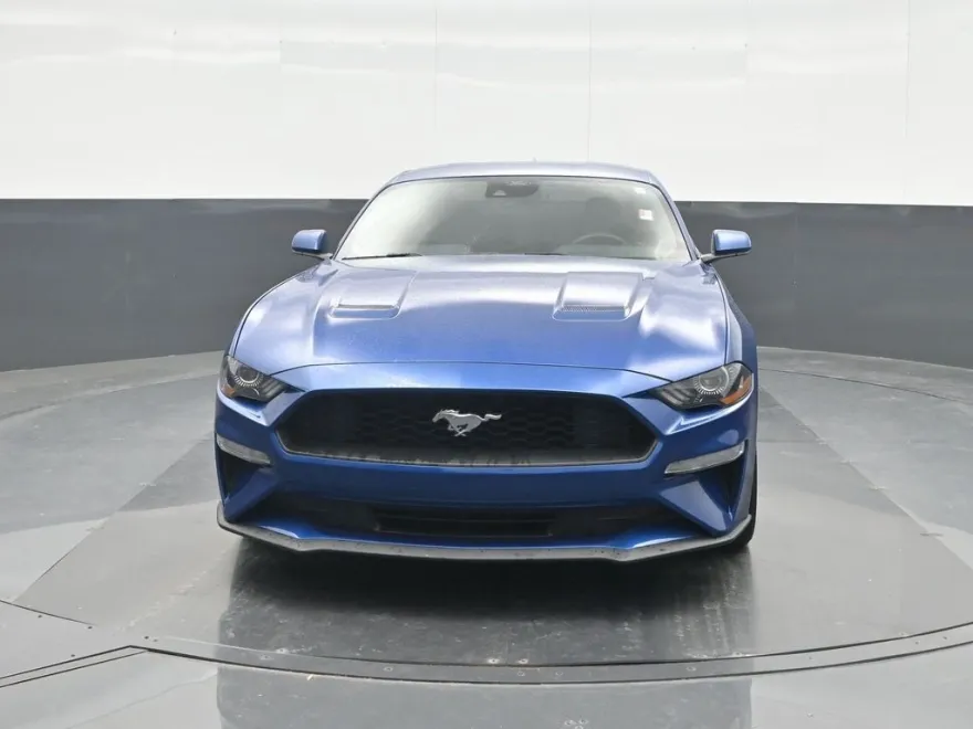 2022 Ford Mustang EcoBoost photo 1