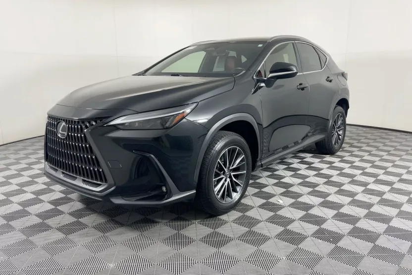 2022 Lexus NX 250 photo 1