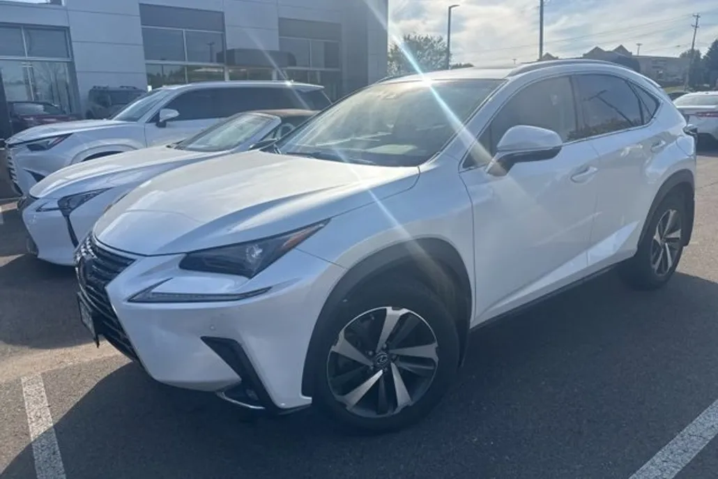 2019 Lexus NX 300 Luxury photo 1
