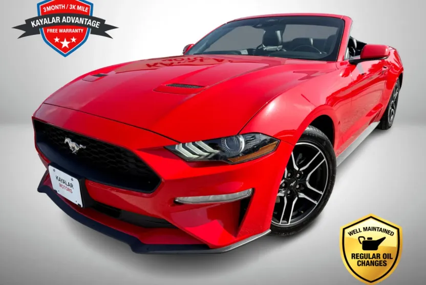 2022 Ford Mustang EcoBoost Premium Convertible photo 1