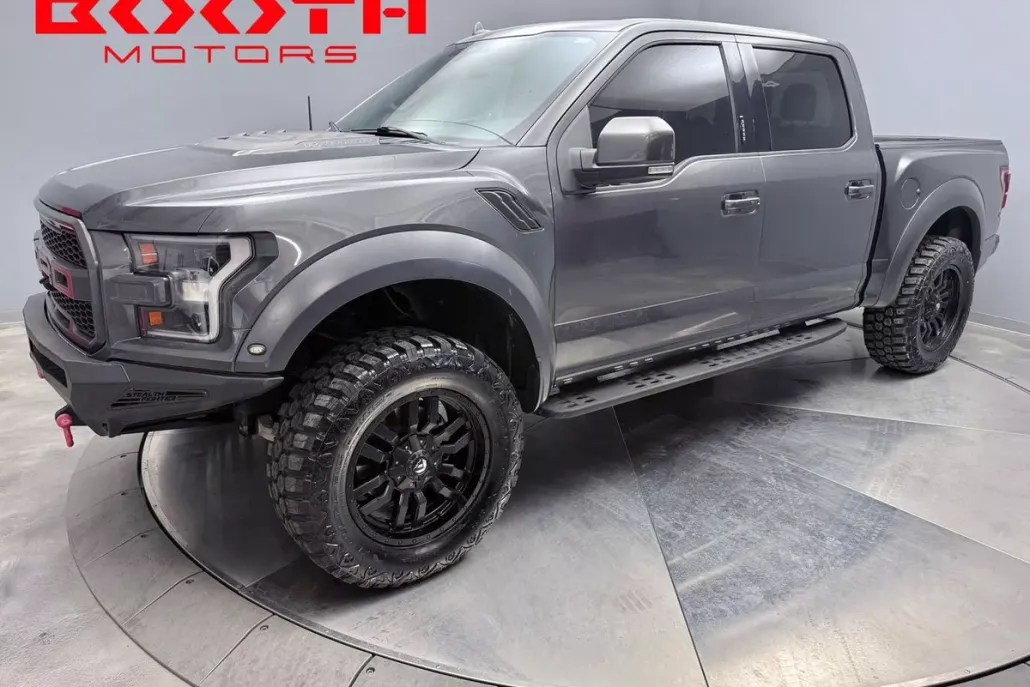 2019 Ford F-150 Raptor photo 1