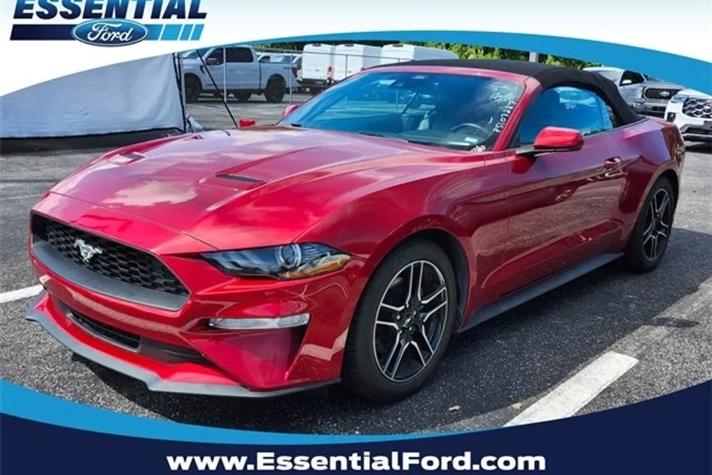 2023 Ford Mustang EcoBoost Premium photo 1
