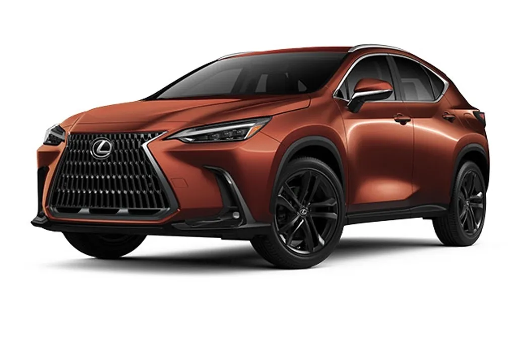 2025 Lexus NX Luxury photo 1