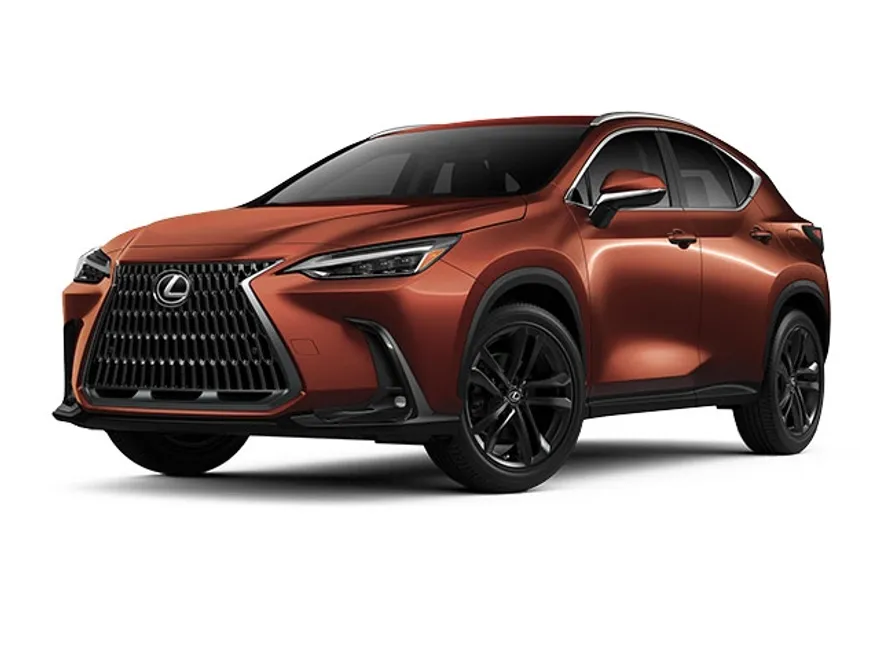 2025 Lexus NX Luxury photo 1