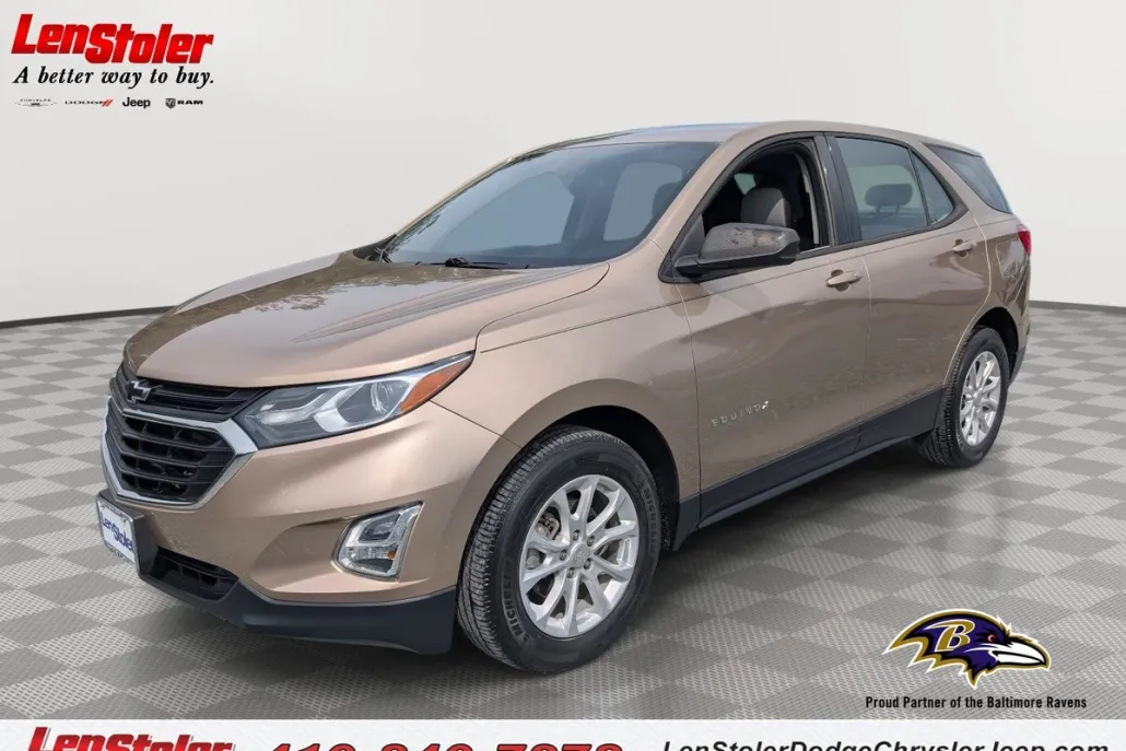 2018 Chevrolet Equinox LS photo 1