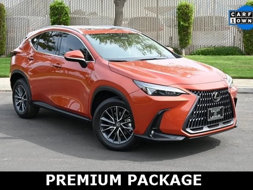 2022 Lexus NX 250 Premium photo 1