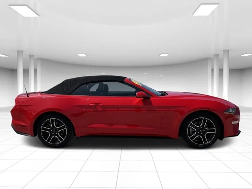 2023 Ford Mustang EcoBoost Premium Convertible photo 1