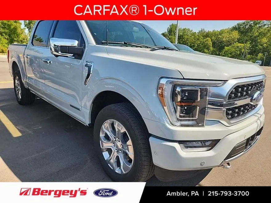 2023 Ford F-150 Platinum FX4 photo 1