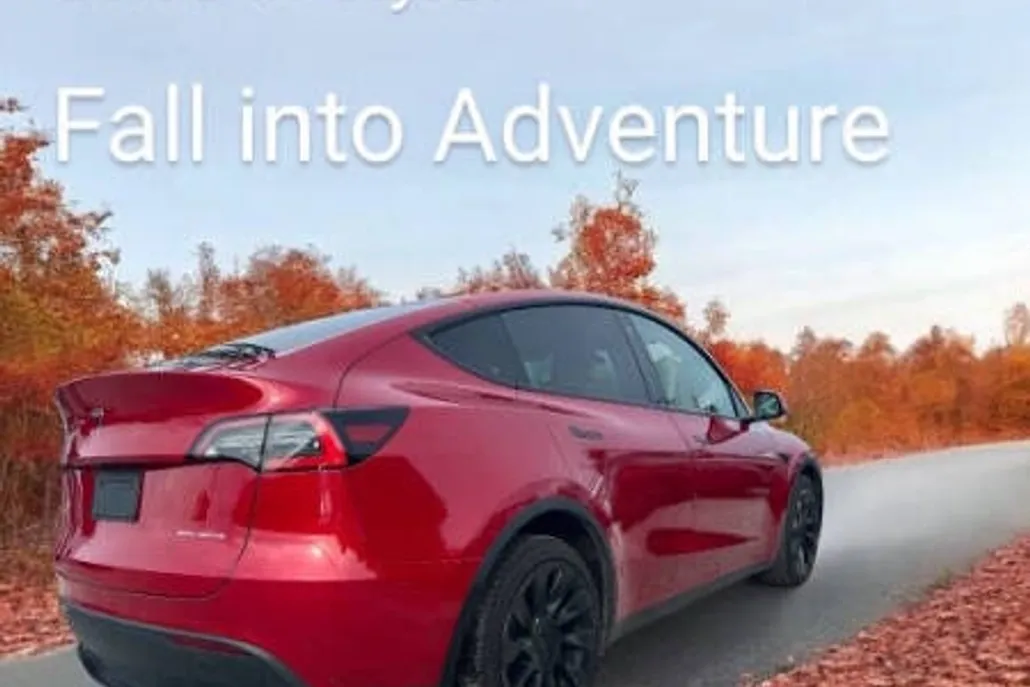2021 Tesla Model Y Long Range photo 1