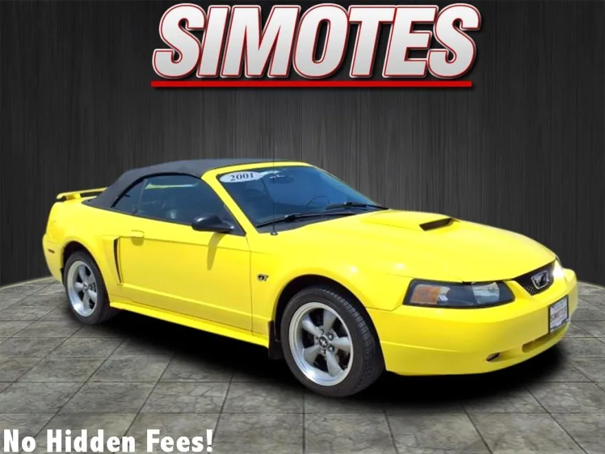 2001 Ford Mustang GT Deluxe Convertible photo 1