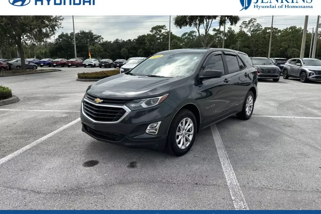 2020 Chevrolet Equinox LS photo 1