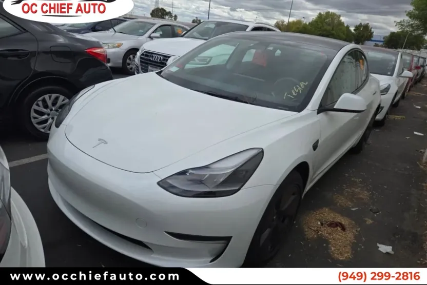 2023 Tesla Model 3 photo 1