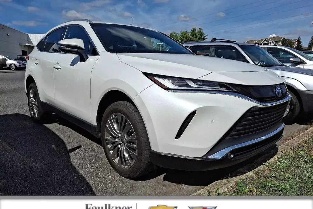 2023 Toyota Venza LE photo 1