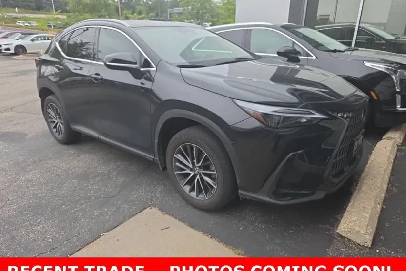 2024 Lexus NX 350h photo 1