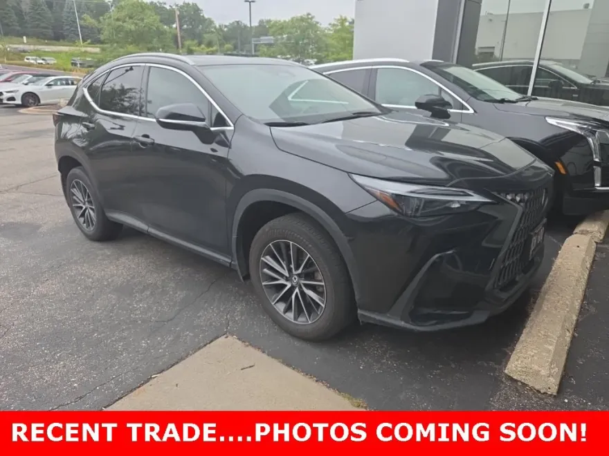 2024 Lexus NX 350h photo 1