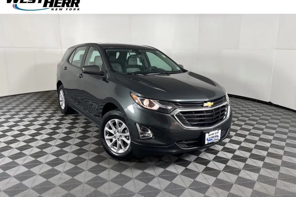 2019 Chevrolet Equinox LS photo 1