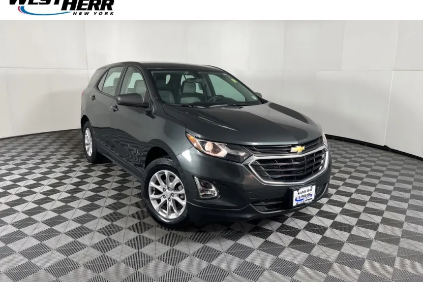 2019 Chevrolet Equinox LS photo 1