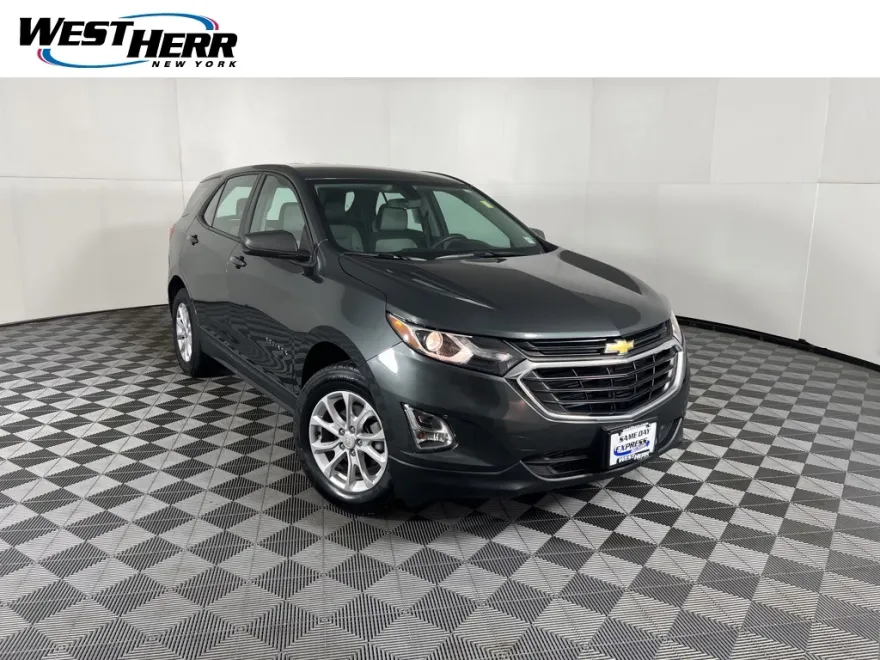 2019 Chevrolet Equinox LS photo 1