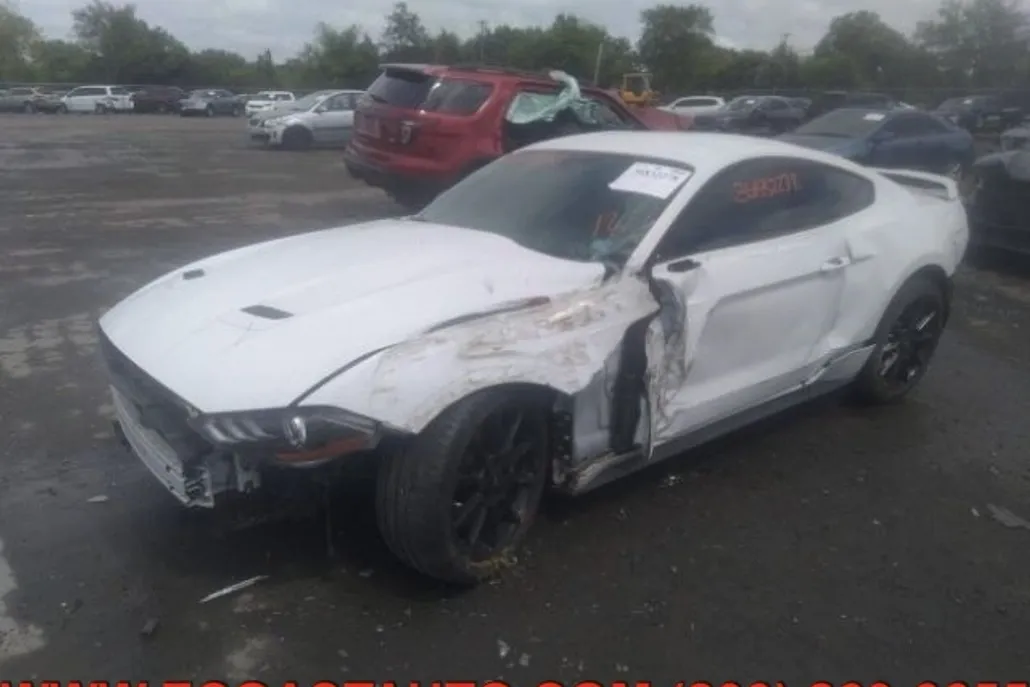 2018 Ford Mustang photo 1