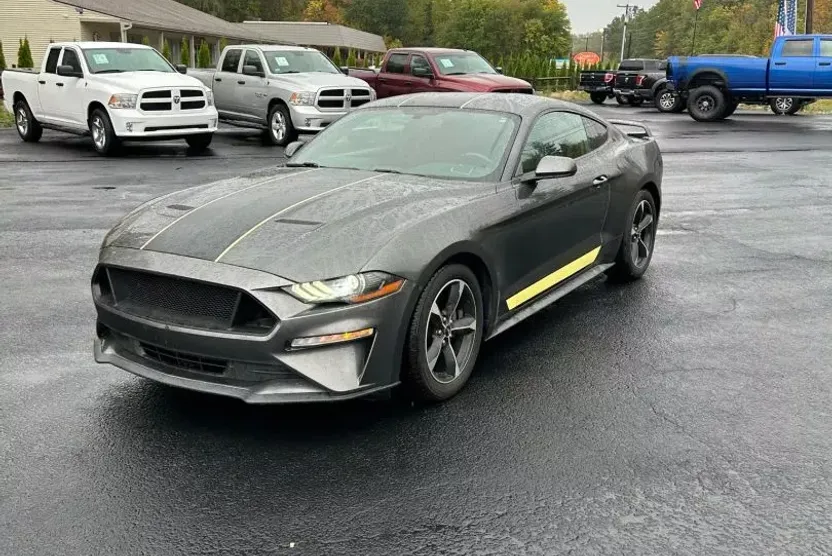 2019 Ford Mustang EcoBoost photo 1
