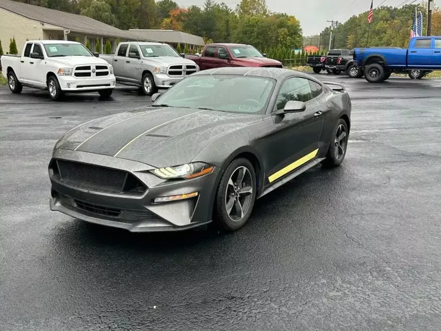 2019 Ford Mustang EcoBoost photo 1