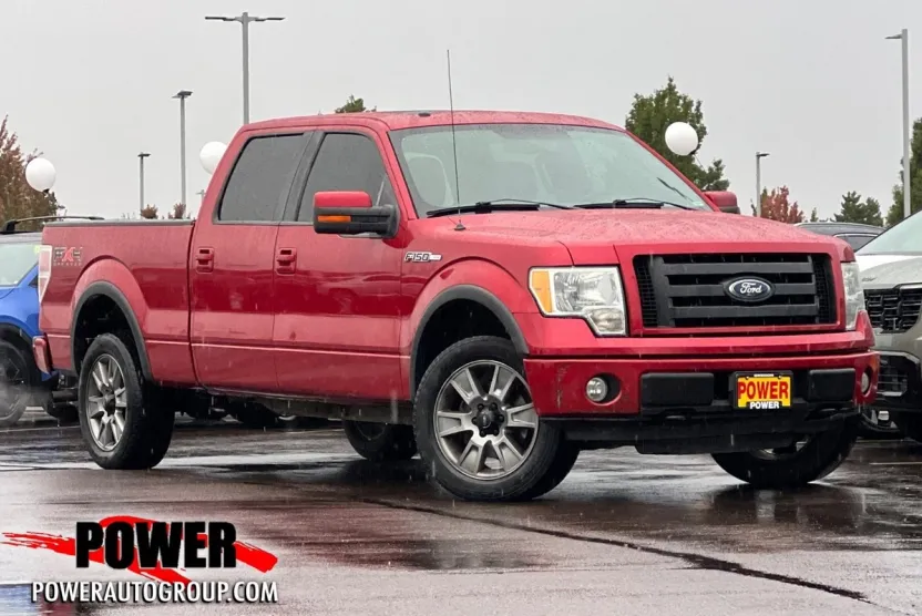 2010 Ford F-150 Base photo 1