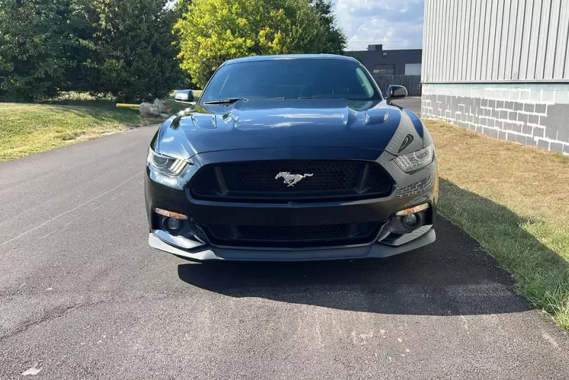 2015 Ford Mustang GT photo 1