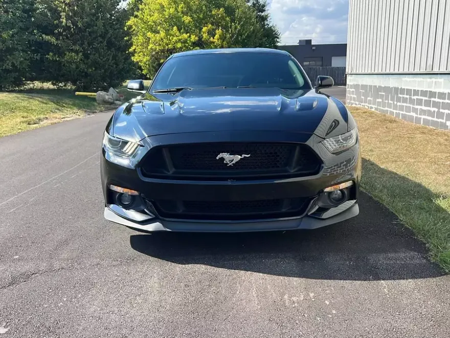 2015 Ford Mustang GT photo 1