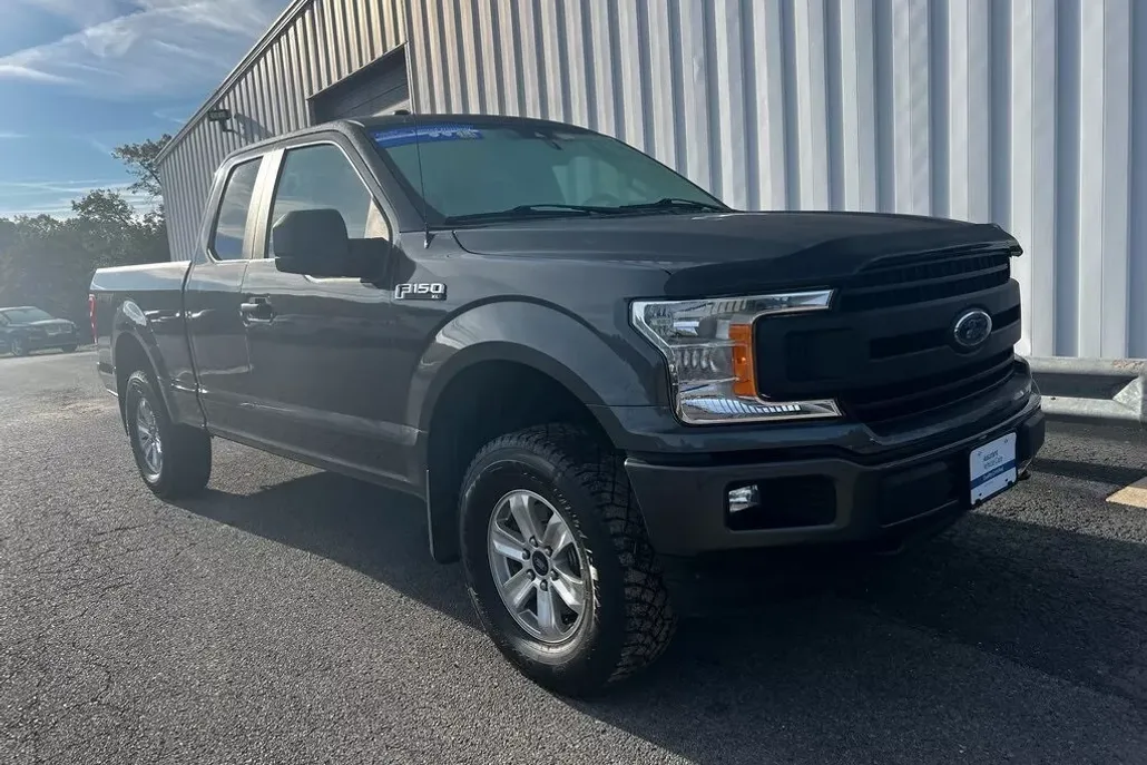 2019 Ford F-150 XL photo 1