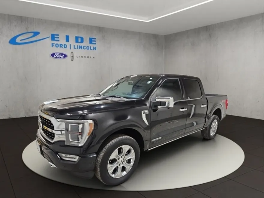 2023 Ford F-150 Platinum photo 1