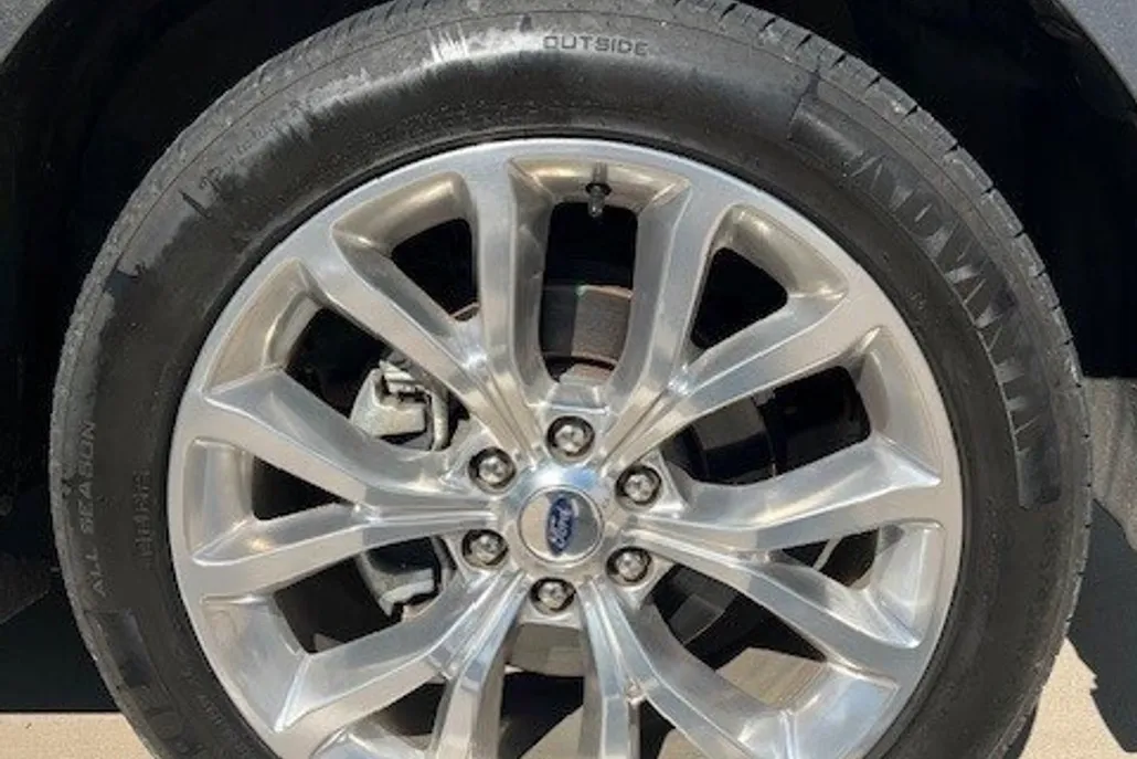 2019 Ford Expedition Platinum photo 1