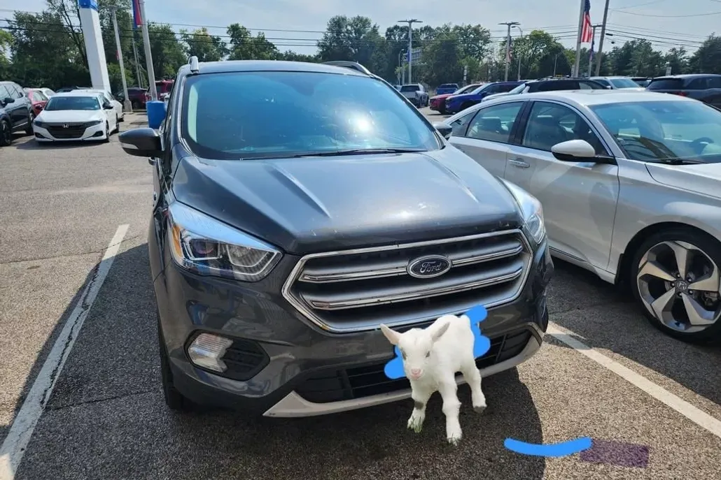 2017 Ford Escape Titanium Sport photo 1