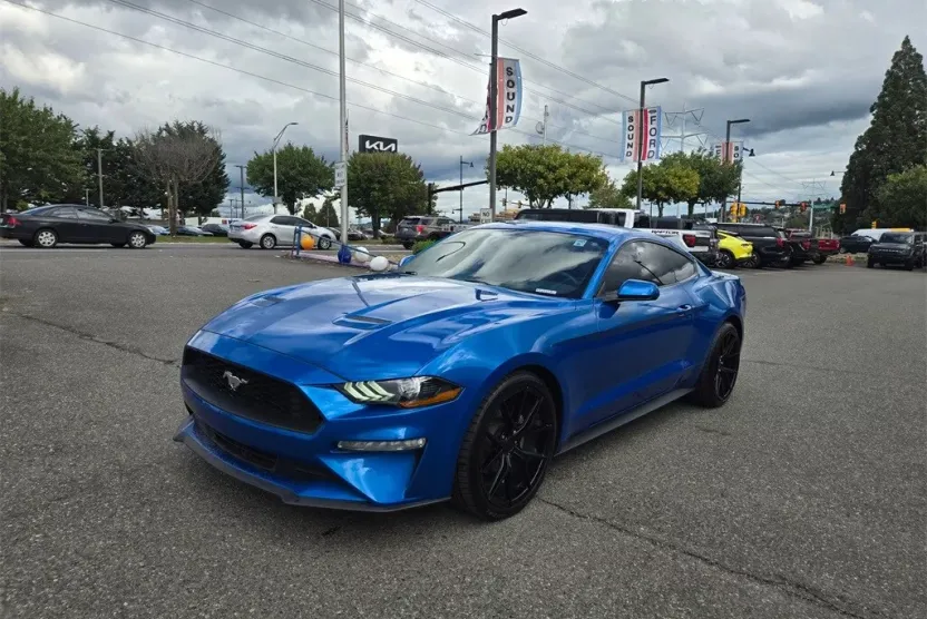 2019 Ford Mustang EcoBoost photo 1