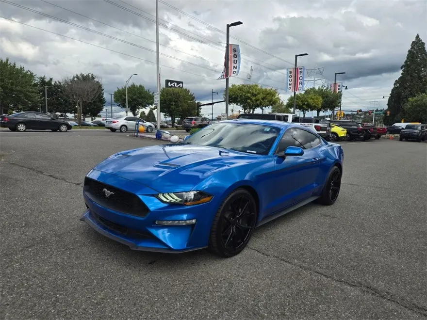 2019 Ford Mustang EcoBoost photo 1